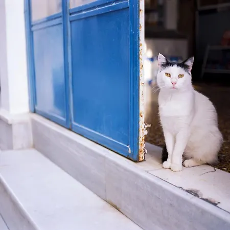 Beautiful Naxos Triple 150m From St, George Center Saint George Apartment *