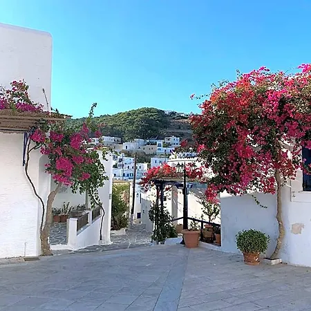 Apartment Beautiful Naxos Triple 150m From St George *