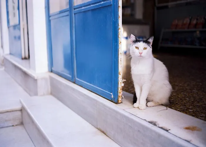 Beautiful Naxos Triple 150m From St George Apartamento *